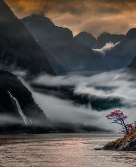 關(guān)于蘭花的詩(shī)句,贊美蘭花的詩(shī)句古詩(shī)詞,蘭花的勵(lì)志詩(shī)句古詩(shī)詞