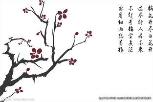 關(guān)于梅花詩(shī)句有圖畫(huà)