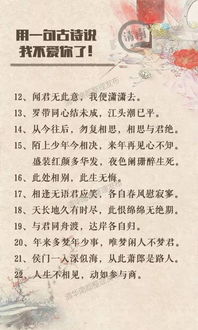 因?yàn)閻?ài)放手的古詩(shī)句