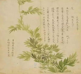 古詩,詩句,描寫,植物