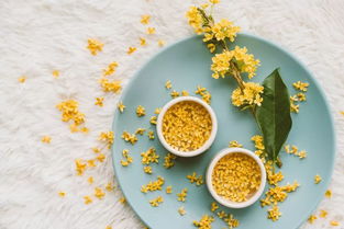 寫出兩句關(guān)于桂花的詩句,寫出兩句含有桂花的詩句,關(guān)于桂花的詩句至少兩句