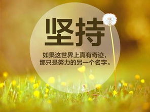 表示自己要堅(jiān)持下去的古詩句