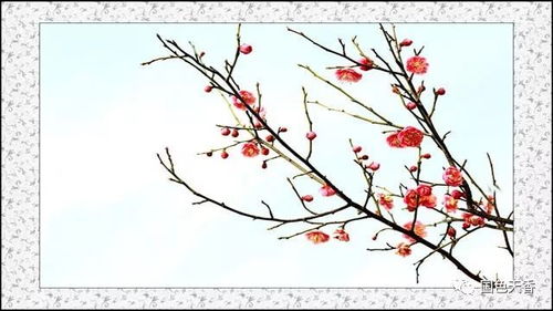 形容友誼長久的詩句古詩詞,關于幸福的詩句古詩詞,形容失眠的詩句古詩詞