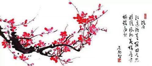 關(guān)于梅花的詩(shī)句常用