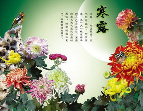 有關(guān)于南方寒露到來(lái)的詩(shī)句