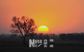 關于塞北落日詩句