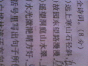 表達(dá)一切都無所謂的古詩句