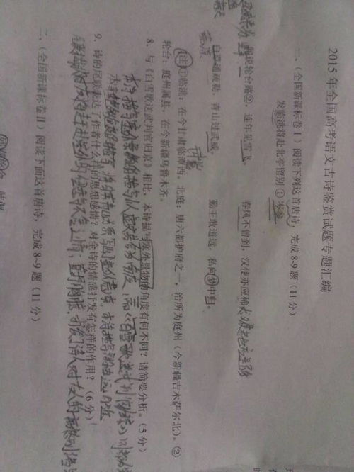 古詩鑒賞題及答案詩句作用