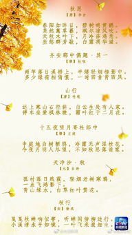 關于二十四節(jié)秋風的詩句