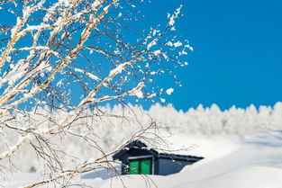 古詩詞詠雪的詩句詩句