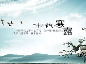 現(xiàn)代關于節(jié)氣的詩句