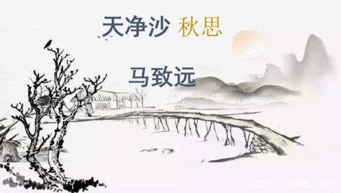 默寫,詩句,考古,理解