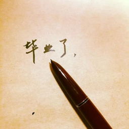 關(guān)于青春不后悔的詩(shī)句
