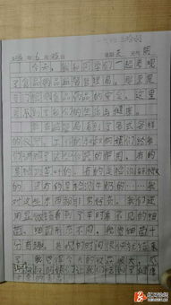 小學(xué)三級(jí)怎么開頭寫作文