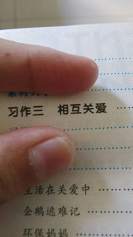 六級關(guān)于關(guān)愛(ài)的好作文的開(kāi)頭