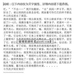 記得一次的嘗試作文開(kāi)頭結尾