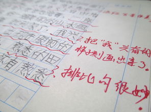 關(guān)于自信精彩作文開(kāi)頭