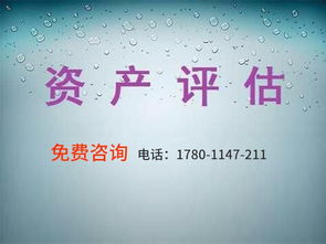 無形資產(chǎn)評估報(bào)告(無形資產(chǎn)評估報(bào)告)