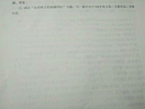 運動場上的溫暖回憶作文的開頭