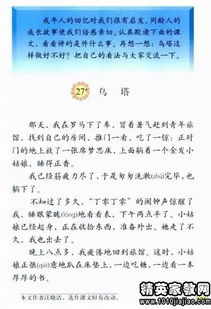 關于小學調查報告范文(小學關于近視調查報告)