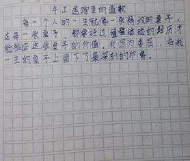 雨中的綻放抒情作文開(kāi)頭