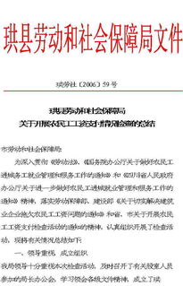 開展農(nóng)民工工作自查報(bào)告()