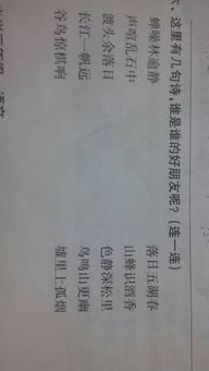 有關(guān)夏天作文開(kāi)頭的句子