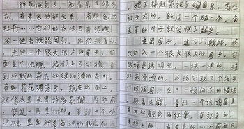 看似不起眼的事作文開頭