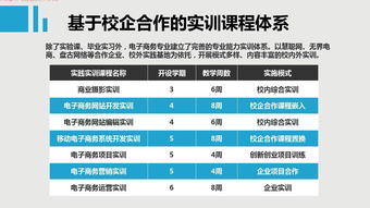 電子商務(wù)專業(yè)課程(電子商務(wù)專業(yè)課程)