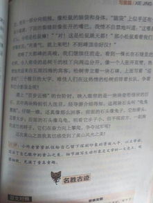 最美的遇見(jiàn)作文800字開(kāi)頭
