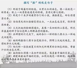 作文開(kāi)頭傷感句子摘抄大全