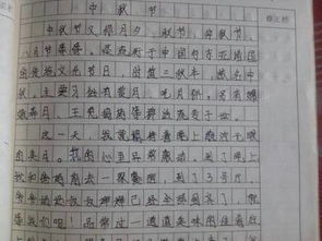 初一作文我的中秋節600字作文開(kāi)頭