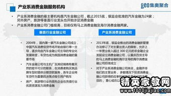 金融租賃公司項目調(diào)查報告范文(金融租賃公司典型項目調(diào)查報告)