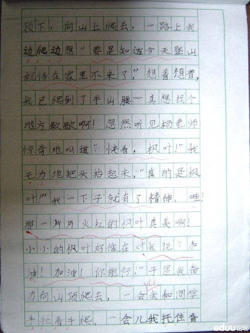 我的新體驗登山作文開頭