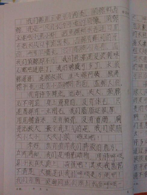 我沒(méi)有放棄1000字作文開(kāi)頭