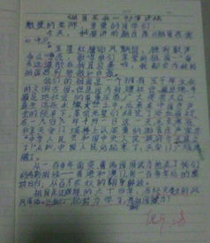 六級(jí)我得到的幫助的作文開頭