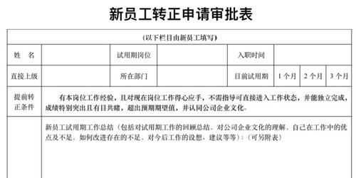 新員工轉(zhuǎn)正報(bào)告(公司新員工轉(zhuǎn)正報(bào)告)