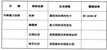 第一次半命題作文開(kāi)頭