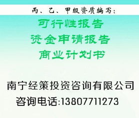 廣告項(xiàng)目可行性報(bào)告(項(xiàng)目可行性報(bào)告)