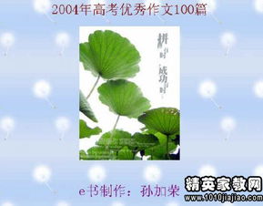 自我介紹開(kāi)頭語(yǔ)100字作文怎么寫