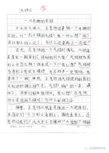 聲音實驗作文開頭