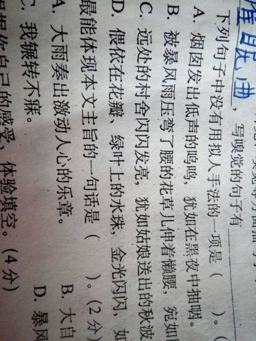 那一次玩得真高興作文600字作文開(kāi)頭