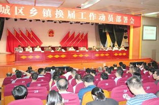 黨代表審查報告(經費審查整改報告)