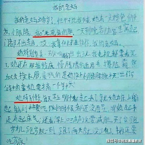 運(yùn)用比喻開(kāi)頭的作文80字