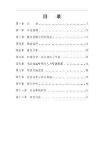 立項報告范文(立項報告)