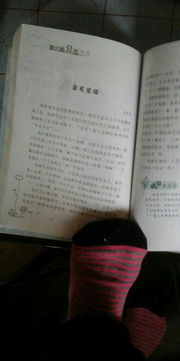 關(guān)于動(dòng)物的作文600字高中作文開頭