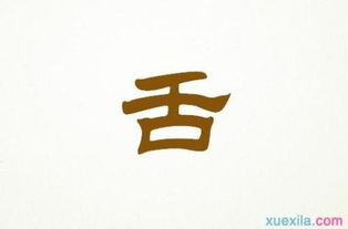 五級(jí)下作文開(kāi)頭與結(jié)尾怎么寫(xiě)