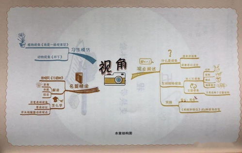 人讓動(dòng)物的作文600字作文開(kāi)頭