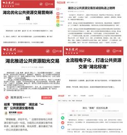 政務(wù)公開(kāi)政務(wù)服務(wù)工作調(diào)研報(bào)告(人事政務(wù)公開(kāi)調(diào)研報(bào)告)