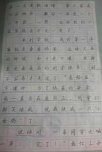 守護雞蛋小作文開頭